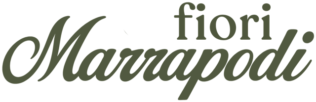 Fiori Marrapodi